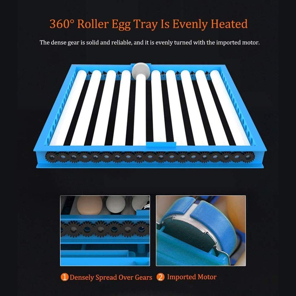 Automatic Egg Incubator with Turning & Humidity Control - 256 Egg Capacity for Chicken, Duck, Dove & Quail - Large Poultry Hatcher with Smart Display - Perfect for Farm, Backyard & Homestead Use