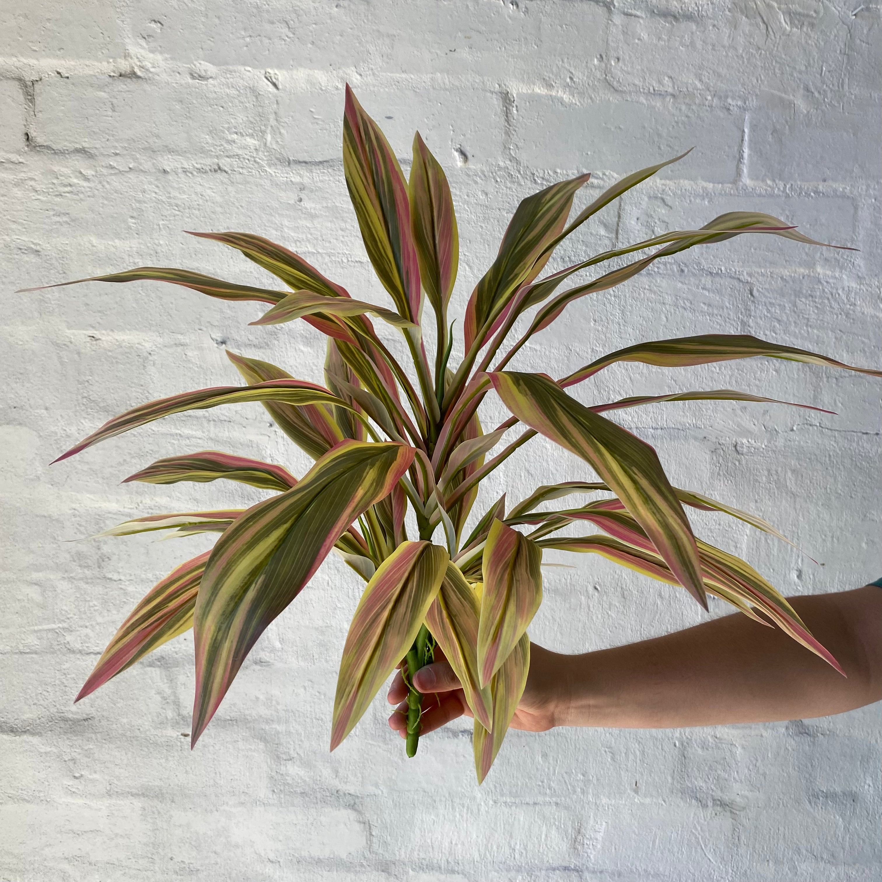 Artificial Sun Dracaena Bush - 3 Pack Fake Plants for Home Decor, Office Desk & Indoor Greenery - Low Maintenance UV Resistant Faux Dracaena Plant for Living Room, Bedroom, Bathroom & Workspace Decor