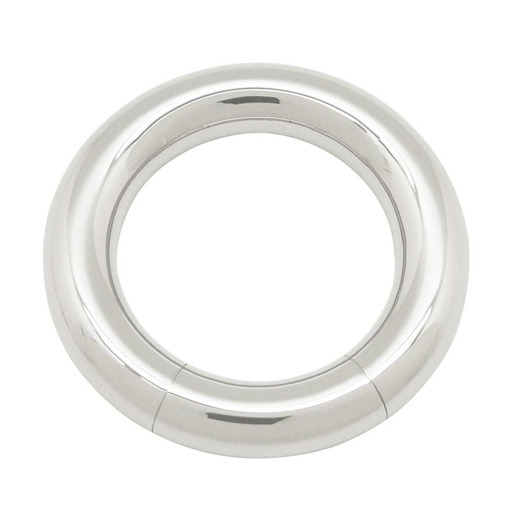 Premium Stainless Steel Body Piercing Jewelry - Segment Ring for Nipple, Ear, and Body Piercings | Hypoallergenic & Secure Restraints | Perfect for Everyday Wear, Parties, and Alternative Fashion Styles