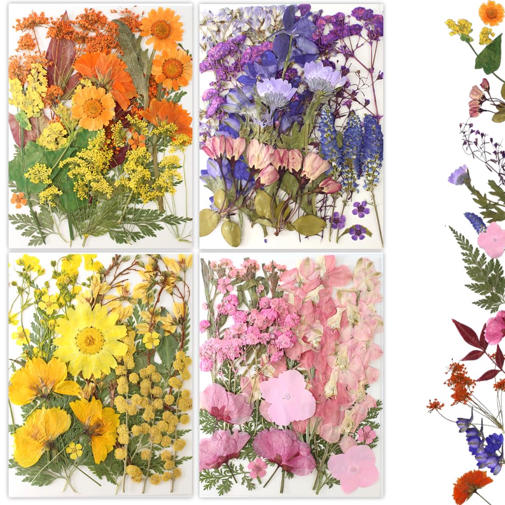 80Pcs Natural Pressed Dried Flowers Bulk for Resin Molds, Nail Art, Scrapbooking, Candle Holder & Jewelry Making - DIY Craft Supplies Kit for Home Decor, Wedding Invitations & Gift Wrapping