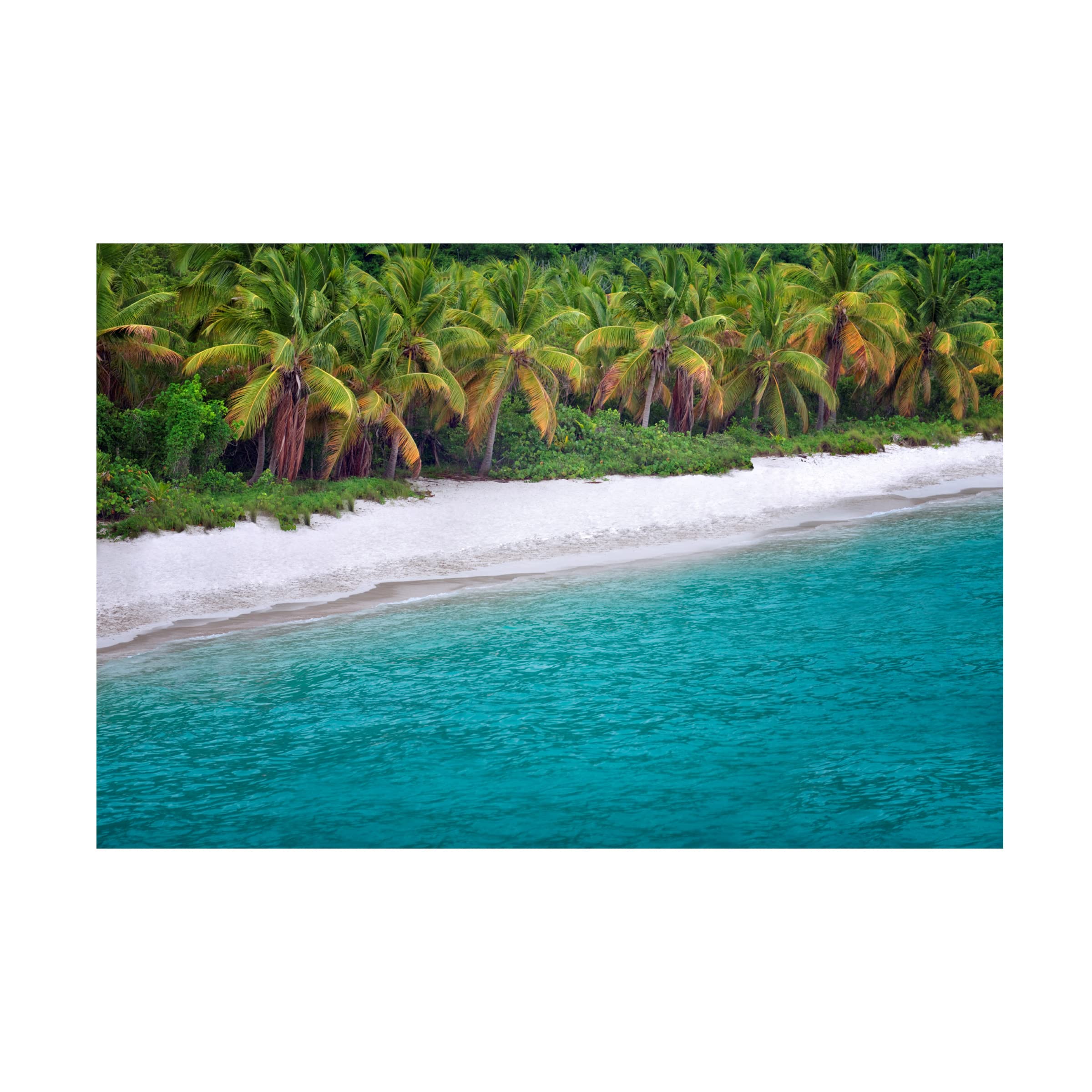 Dennis Frates 'Beach 10' Canvas Wall Art Print - Coastal Decor for Living Room, Bedroom & Office - Trademark Fine Art Collection
