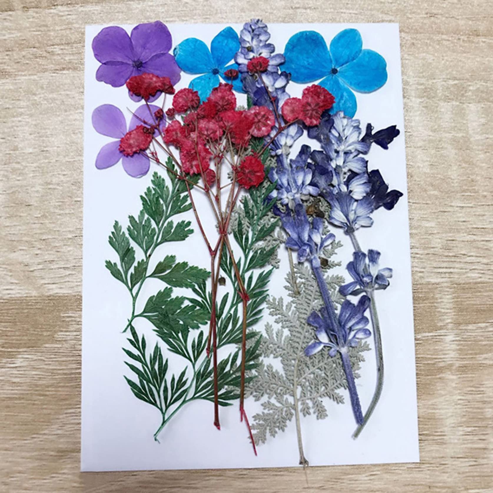 Pressed Flower Mixed Dried Flowers for Aromatherapy Candles, Greeting Cards, Epoxy Resin Crafts & DIY Jewelry Making - Perfect for Home Decor, Wedding Favors, and Handmade Gifts