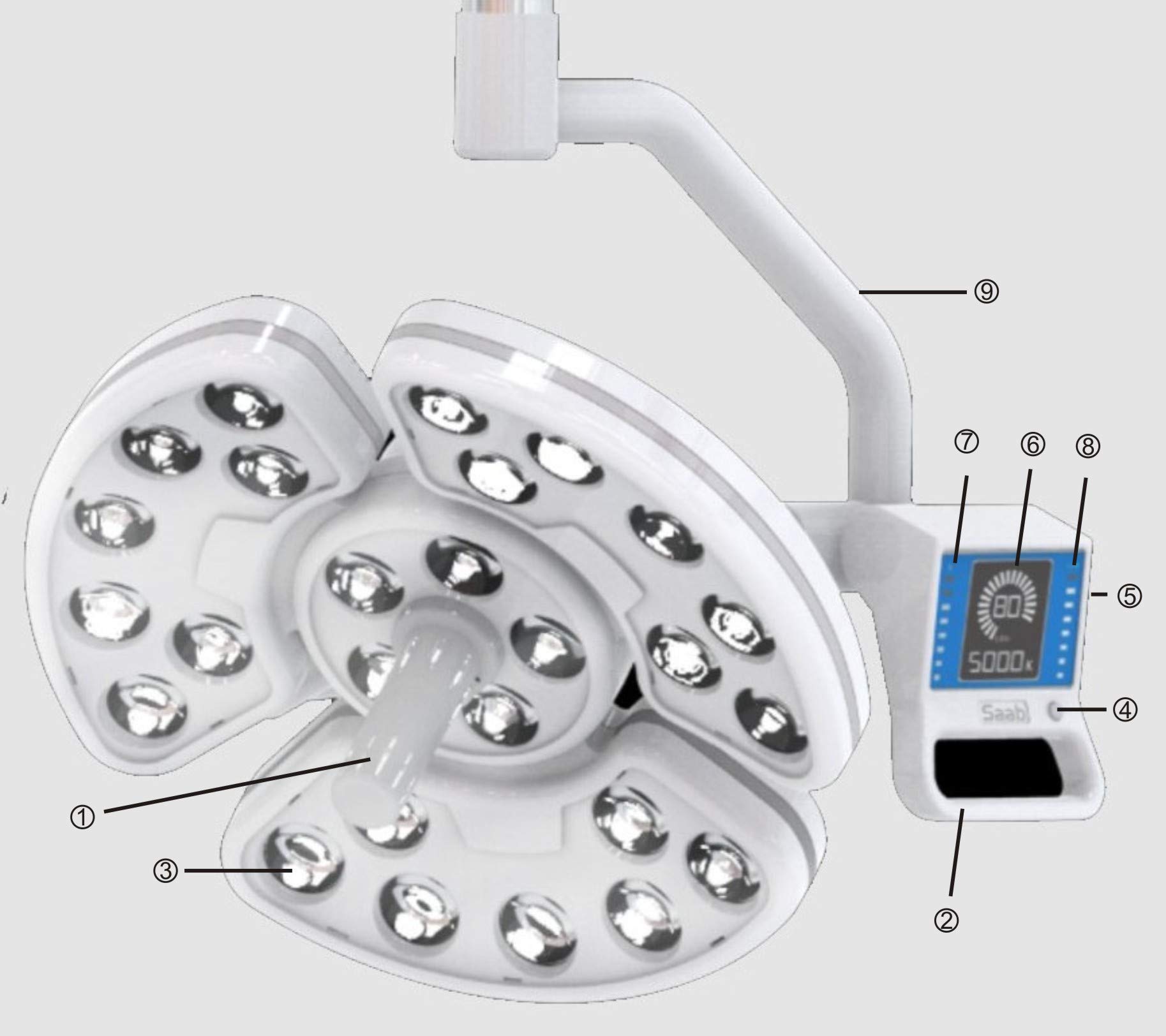 Professional Dental Shadow Lamp with Touch LED Lighting - Dual Head Surgical Light for Dentists, Pet Surgery & Tattoo Parlors | Perfect for Dental Chairs, Veterinary Clinics & Beauty Studios