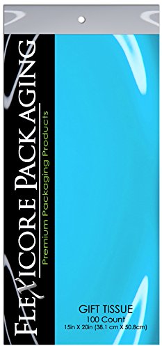 Premium Black Kraft Paper Gift Bags with Light Blue Tissue Wrap - 8
