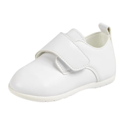 B2_white