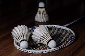 PlantaZee 10-Pack Plastic Badminton Shuttlecocks - Durable White Featherless Birdies for Outdoor & Indoor Sports, Training, and Backyard Games