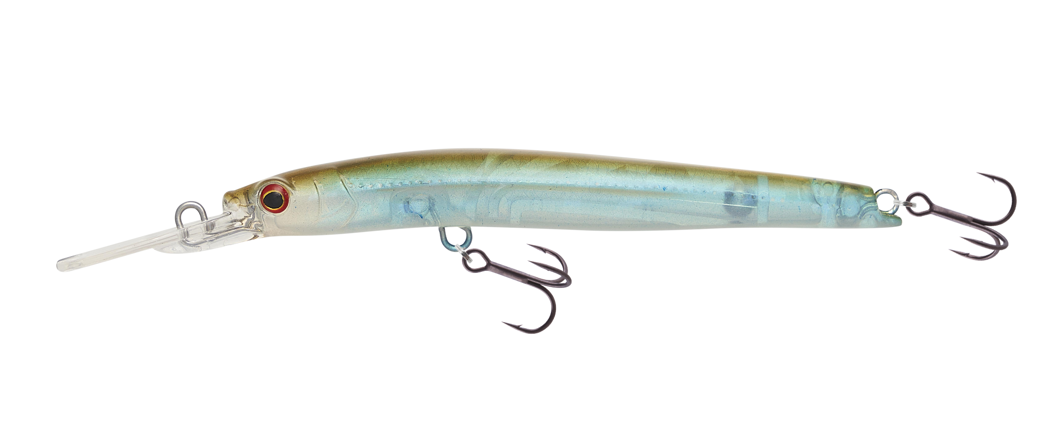 Sardine