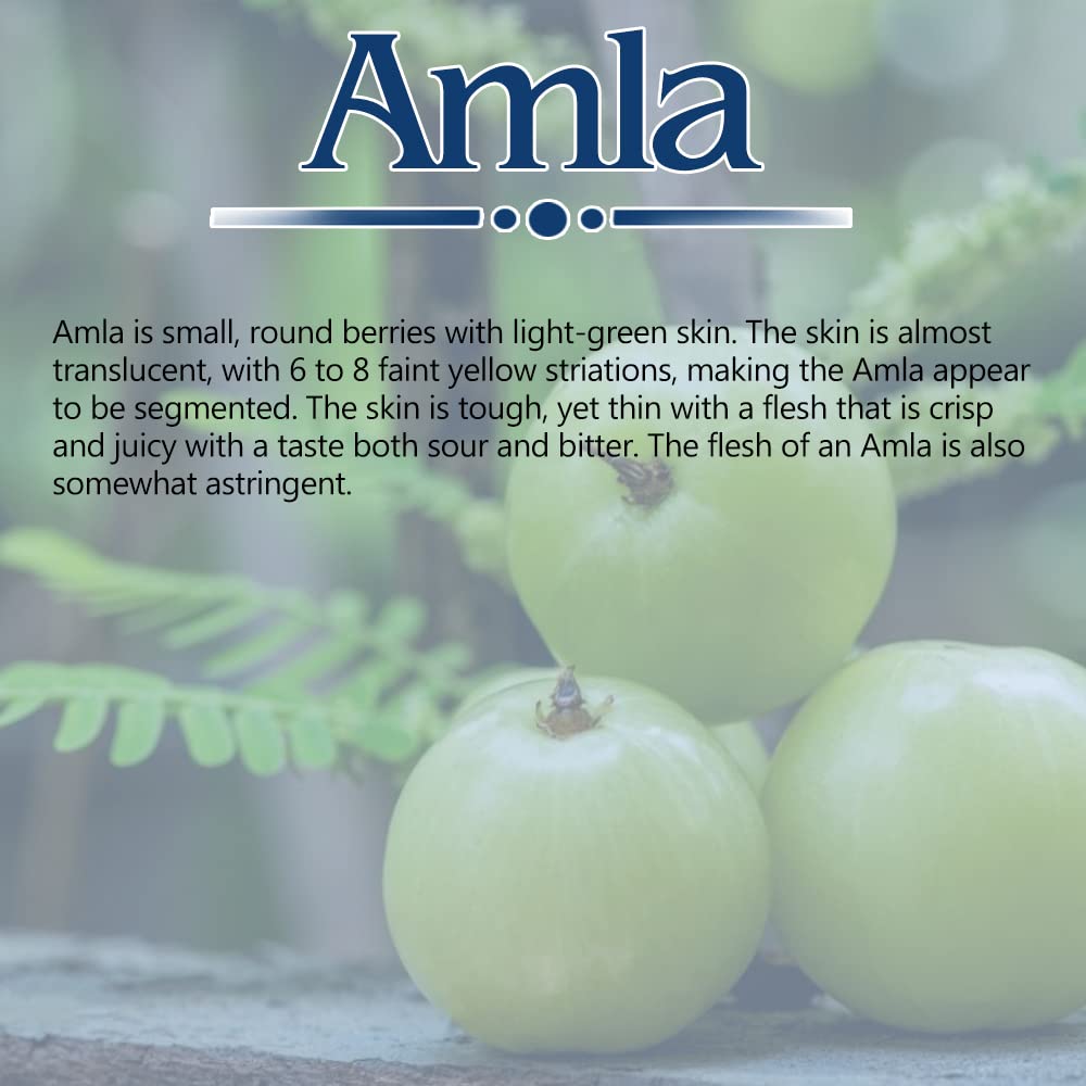 SBS Amla Hair Oil - 100% Pure Indian Gooseberry Oil for Scalp Nourishment & Hair Growth (500ml) | Natural Ayurvedic Treatment for Dry, Damaged Hair | Perfect for Daily Hair Care & Scalp Massage