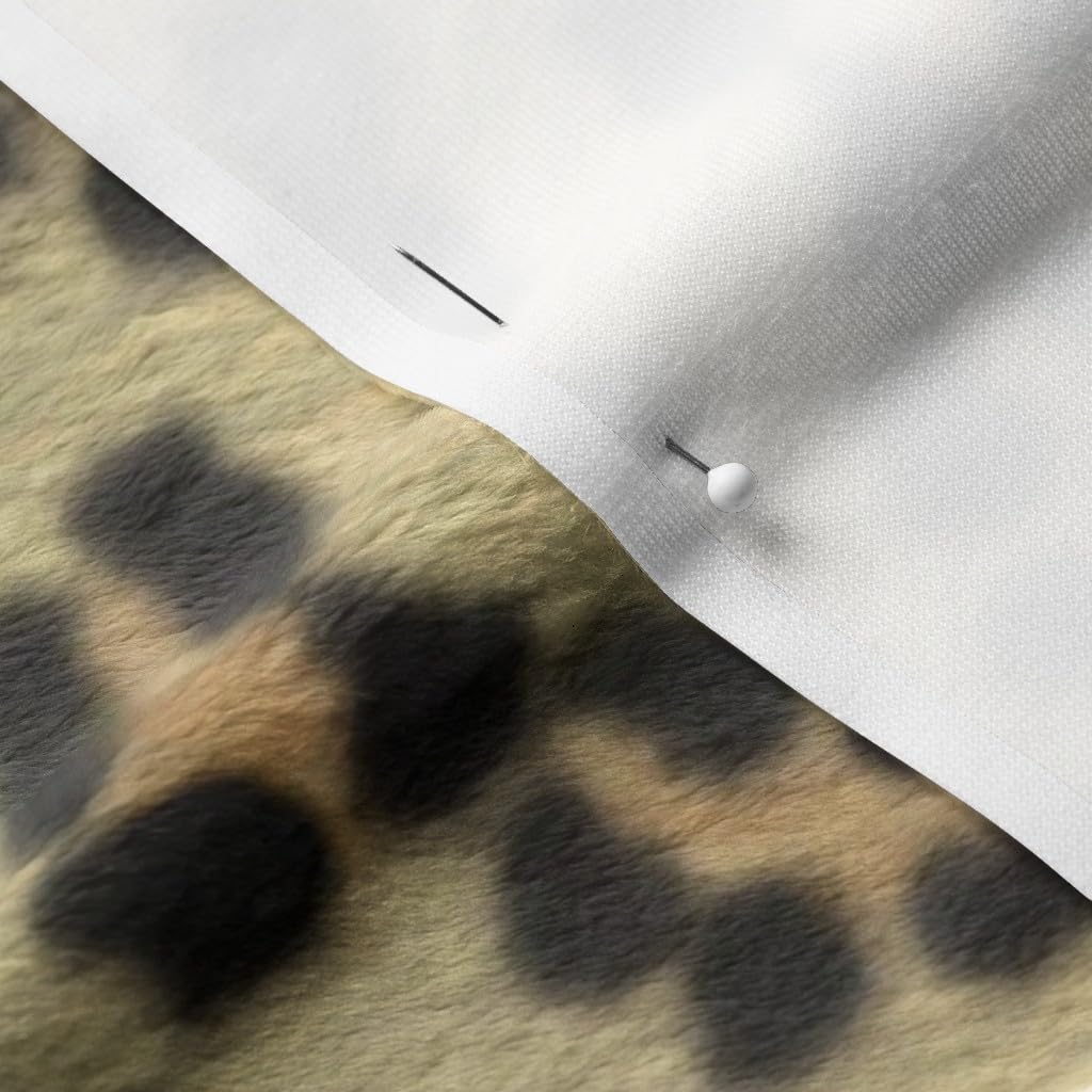 Painted Leopard Spots Cat Rockabilly Tropical Jaguar Animal Print Minky Fabric by The Yard - Soft Plush Fabric for Sewing Baby Blankets, Quilt Backing, DIY Crafts & Home Decor Projects