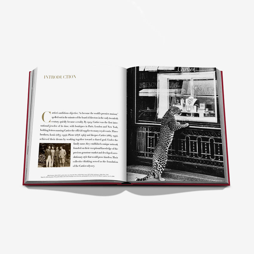 Assouline Cartier The Impossible Collection Book – Luxury Fashion & Jewelry Coffee Table Book for Home Decor & Gifting
