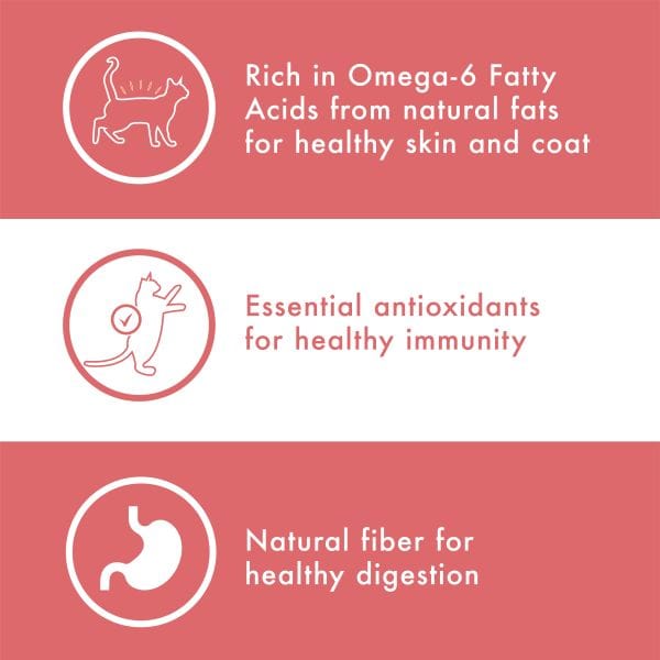 Nutro Wholesome Essentials Salmon & Brown Rice Adult Dry Cat Food - High Protein Natural Cat Kibble for Indoor & Outdoor Cats - Perfect for Daily Meals & Weight Management