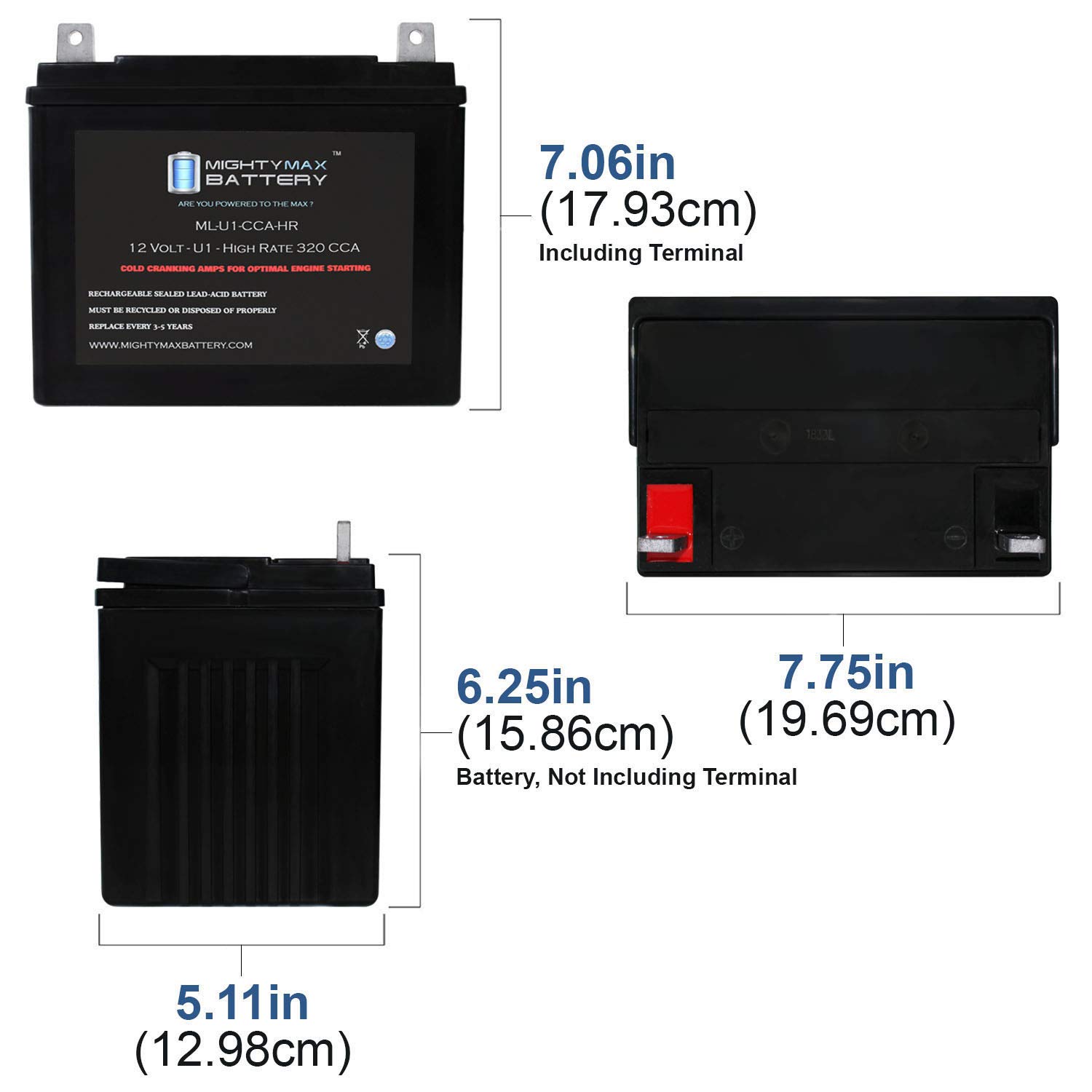 Mighty Max ML-U1-CCAHR 12V 320CCA Replacement Battery for Toro Greensmaster 300 04345 Lawn Mower - Perfect for Golf Course Maintenance & Commercial Landscaping Equipment