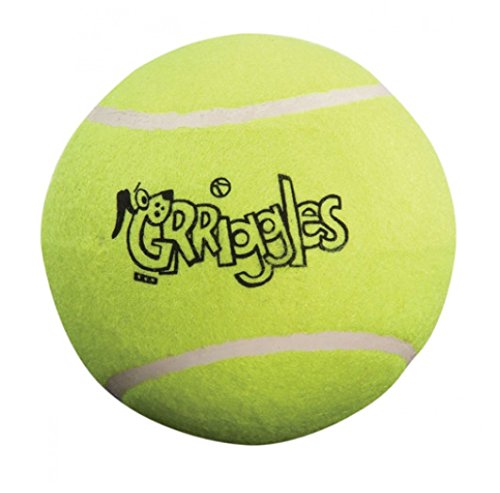 Durable 2.5 Inch Dog Tennis Balls - Colorful Chew Toys for Pets (10 Pack) | Great for Fetch, Training & Outdoor Play