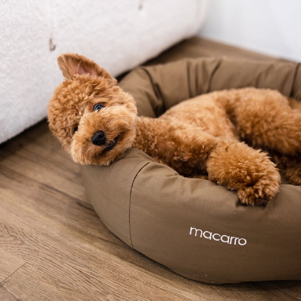 Premium Donut Latex Pet Bed - Ultra Soft & Orthopedic Support for Dogs & Cats - Perfect for Cuddling, Napping & Stress Relief in Home or Travel