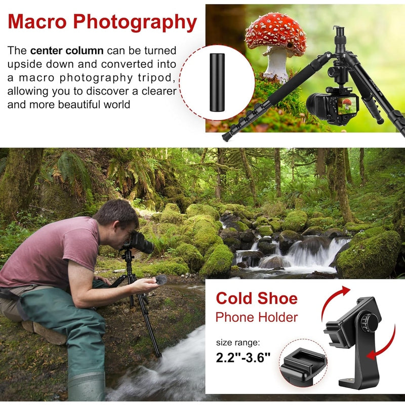 Professional DSLR Camera Tripod & Monopod Stand - 81