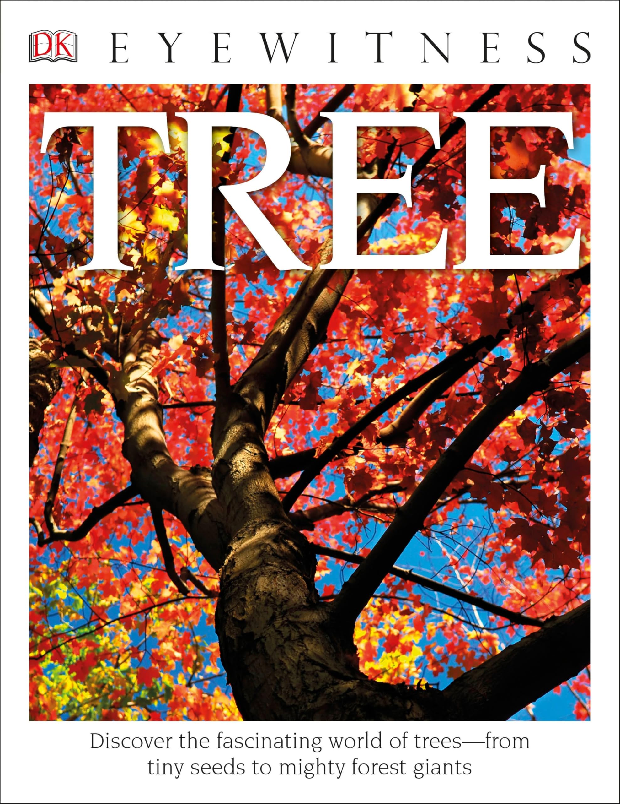 Eyewitness Tree Book: Explore the Fascinating World of Trees from Seeds to Forest Giants | DK Eyewitness Nature Guide | Perfect for Kids Learning & Nature Enthusiasts