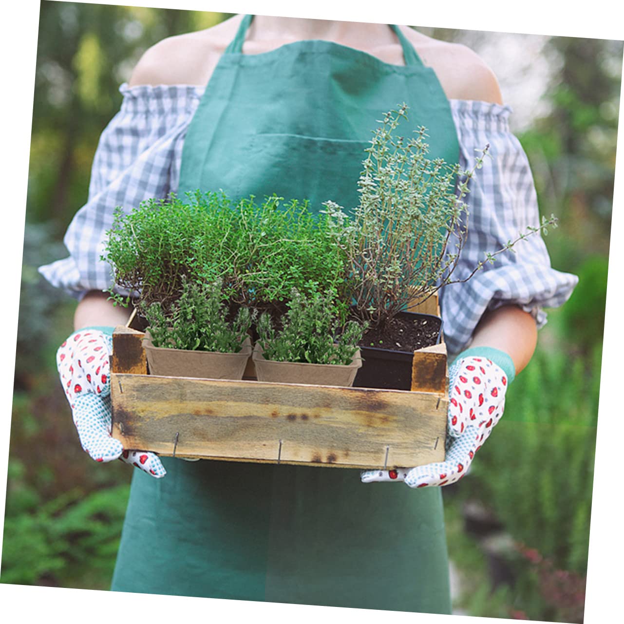 Biodegradable Peat Pots for Seedlings - 3 Pack Eco-Friendly Paper Pulp Plant Nursery Cups for Vegetables, Herbs & Flowers | Perfect for Indoor Gardening, Greenhouses & Sustainable Planting