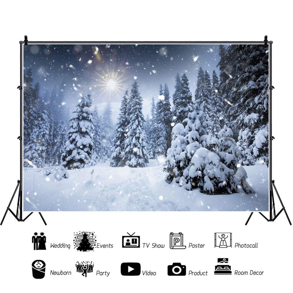 8x6ft Winter Backdrop with Falling Snowflakes & Glitter Dots - Frozen Wonderland Photography Background for Christmas, Xmas Eve Party, New Year Photo Booth & Studio Props | Perfect for Holiday Decorations, Family Portraits & Seasonal Events