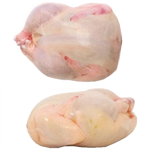 96 Pack 16x25 Turkey Shrink Bags - Heavy Duty Poultry Freezer Bags for Turkey, Chicken & Meat Storage - Perfect for Thanksgiving, Christmas & Holiday Cooking
