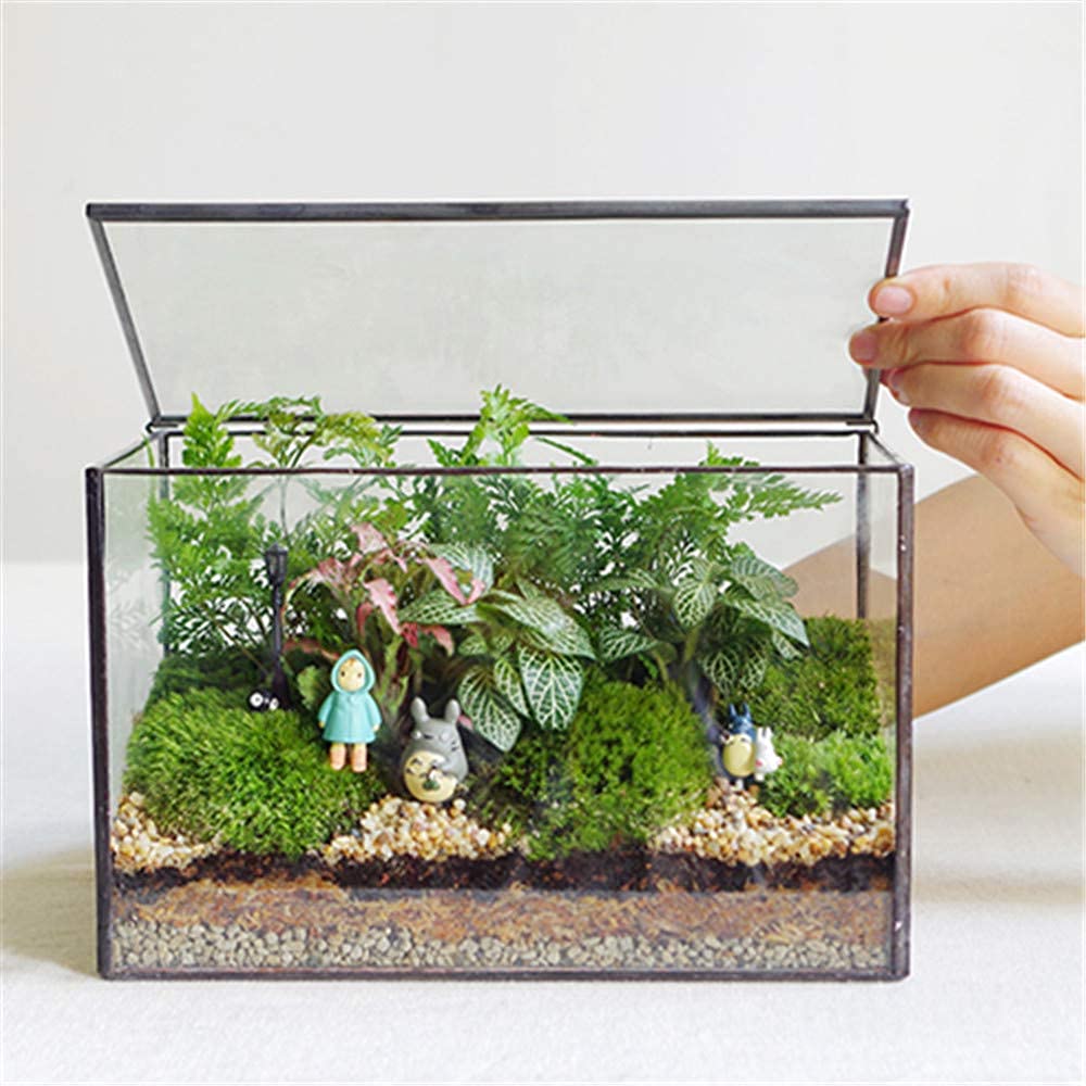 Modern Geometric Glass Terrarium with Lid - 8.3