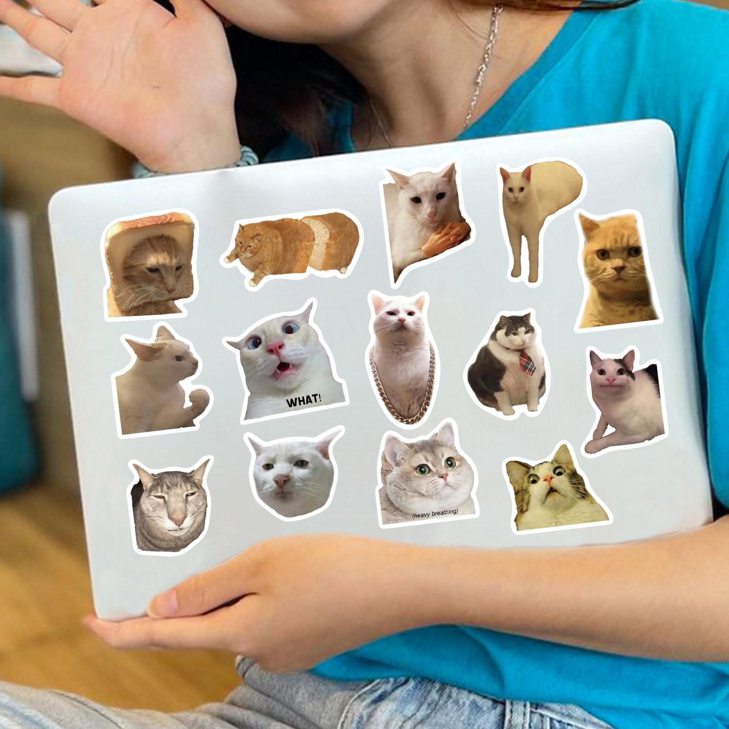 100pcs Kawaii Cat Meme Stickers - Funny Crying Cat & Sad Cat Meme Vinyl Waterproof Decals - Aesthetic Stickers for Water Bottle, Laptop, Skateboard, Phone, Guitar - Perfect for DIY Crafts, School Supplies & Gift Giving