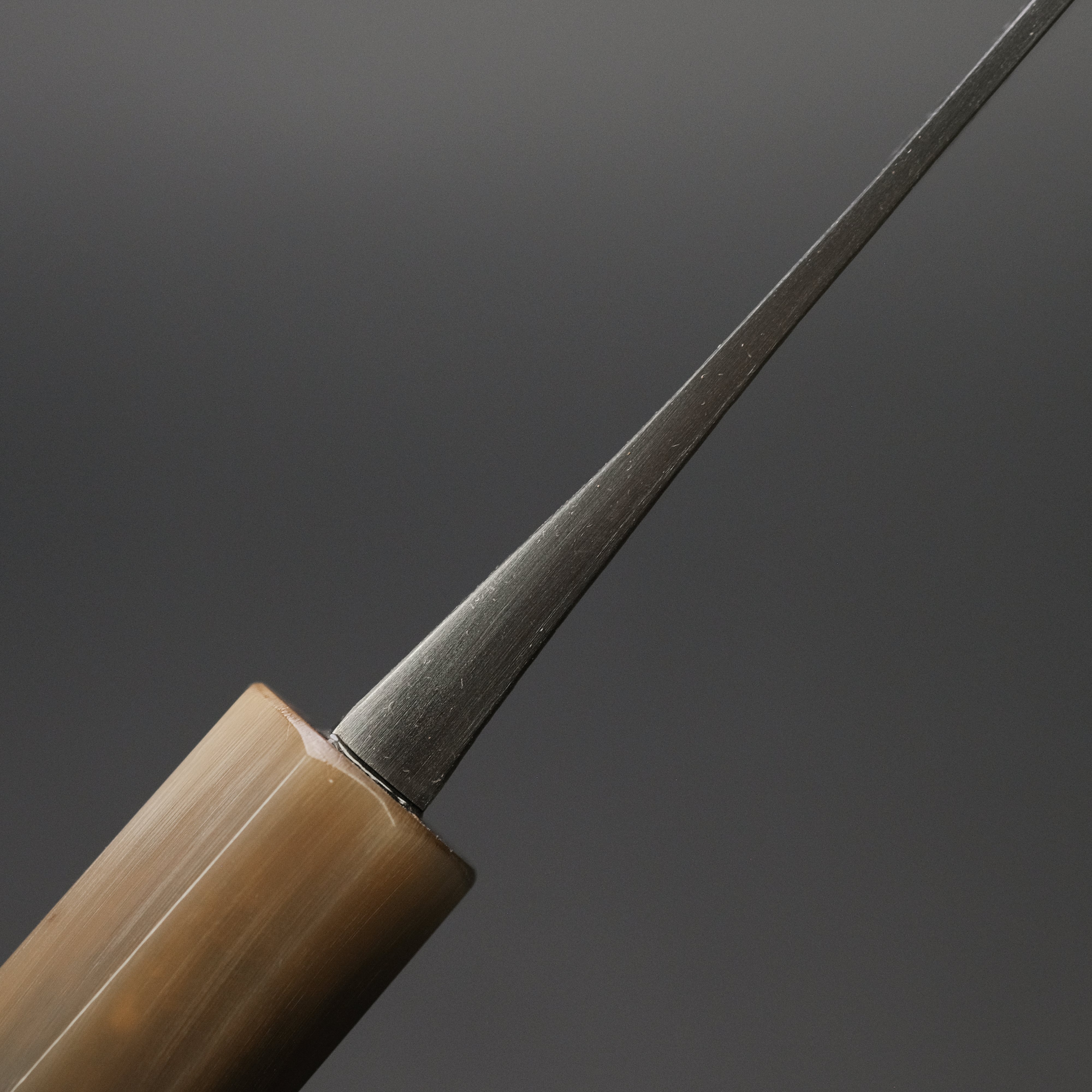 Premium Jiro Tsuchime Wa Gyuto 255mm Japanese Chef Knife with Taihei Tagayasan Handle - Perfect for Sushi, Meat Cutting & Professional Kitchen Use