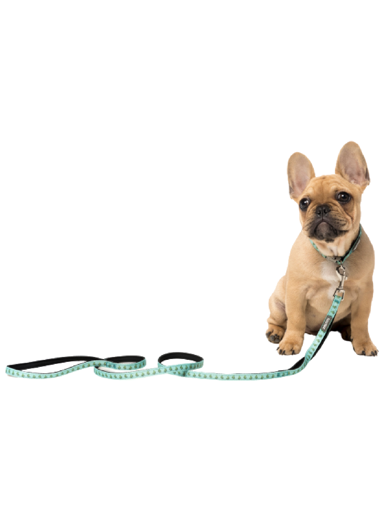 FuzzYard Premium Dog Leash for Small & Large Dogs - Durable & Comfortable Pet Walking Lead (2 Sizes) - Perfect for Daily Walks, Training & Outdoor Adventures