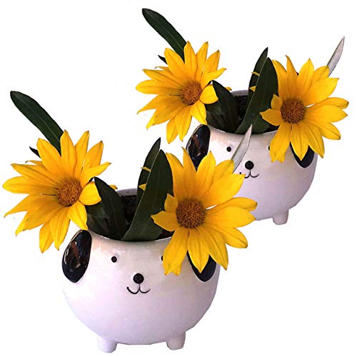 White Dog Mini