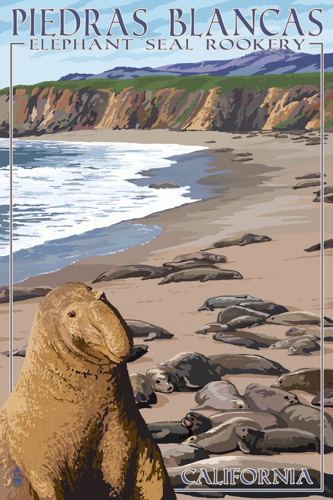 California Piedras Blancas Elephant Seal Rookery 36736 - 24x36 Signed Art Print, Wildlife Wall Decor Poster for Living Room, Office & Coastal Home Decor