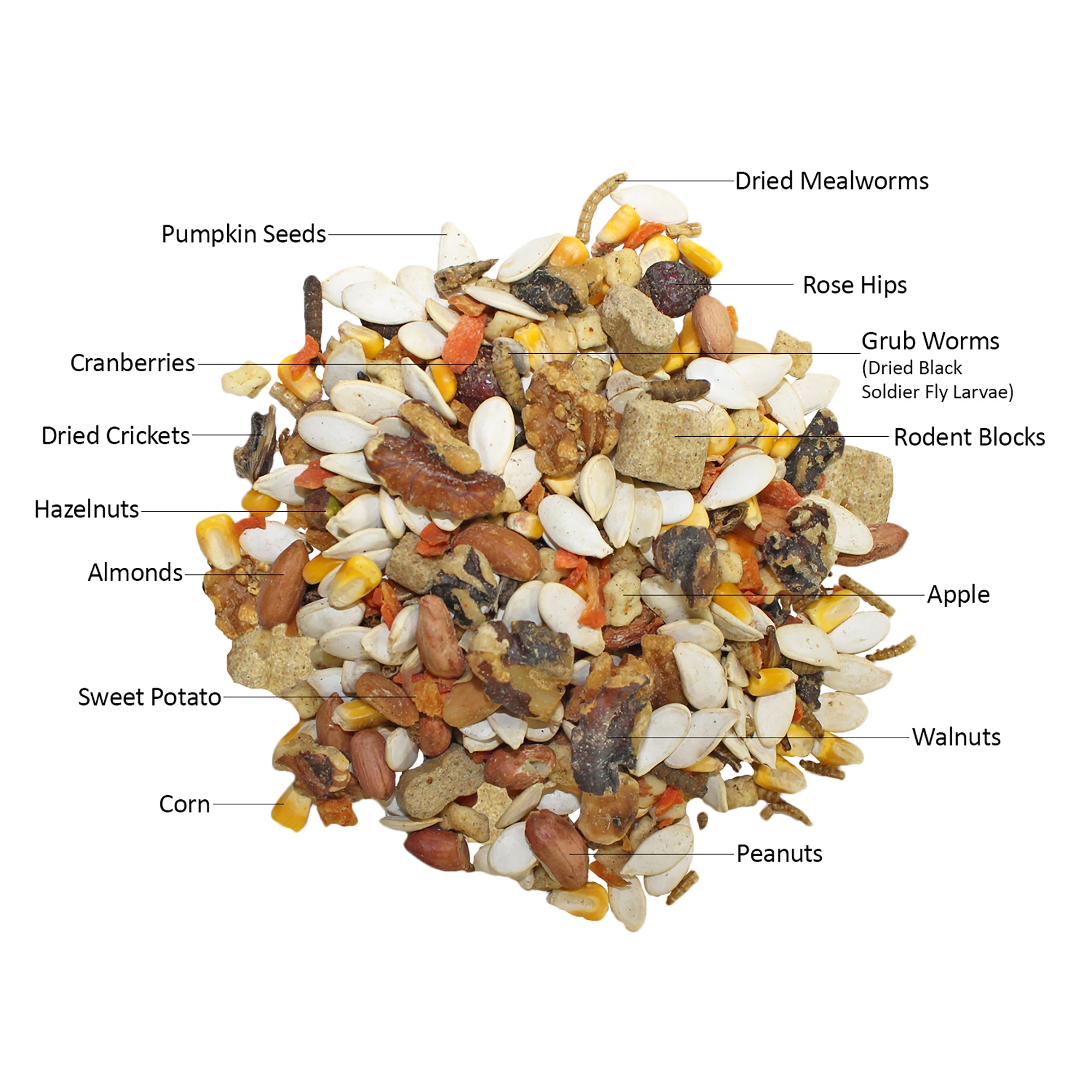 Premium Squirrel Food Mix - Complete Nutrition for Wild & Pet Squirrels - High Protein, Vitamins & Minerals - Ideal for Backyard Feeding, Wildlife Attraction & Pet Care