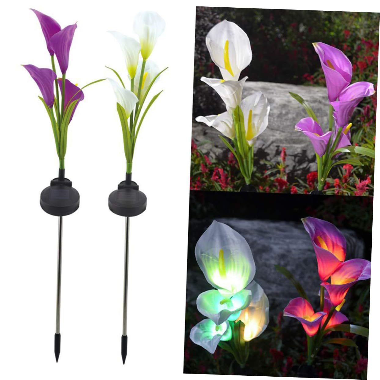 Solar Powered LED Calla Lily Outdoor Lights - 2 Pack White & Purple Landscape Lighting for Garden, Pathway, Patio Decor | Weatherproof & Energy Efficient Floral Lamps for Romantic Evening Ambience