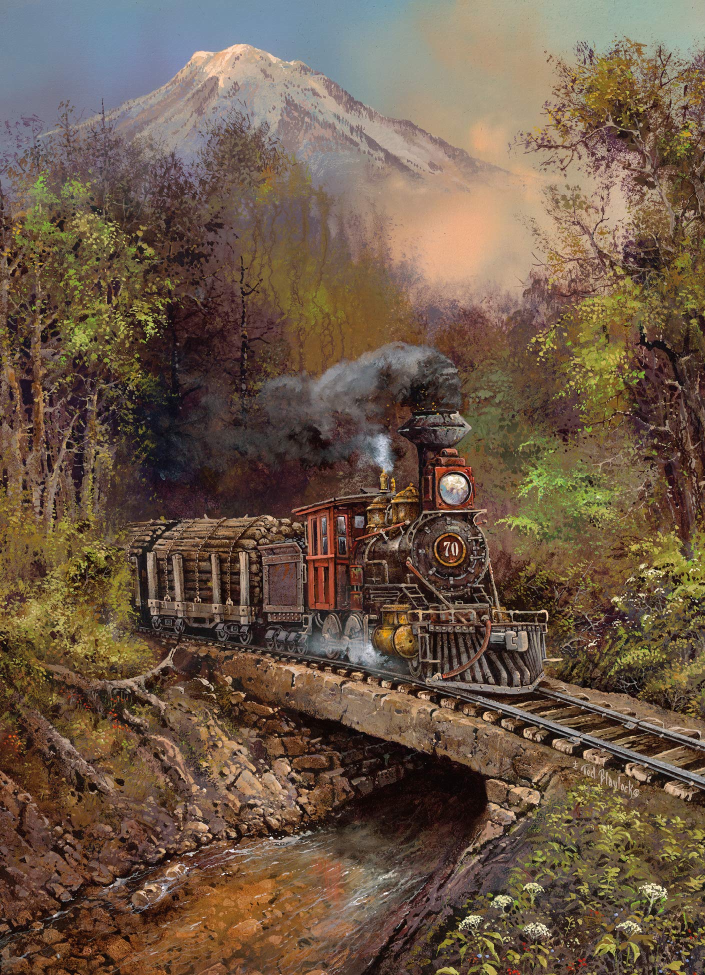 Krovena Birthday Greeting Cards - Box of 12 Train-Themed Cards for Birthday Wishes | Perfect for Train Enthusiasts, Kids Birthday Parties & Collectors