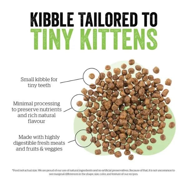Now Fresh Grain-Free Turkey, Salmon & Duck Recipe Dry Kitten Food - 8lb Bag for Healthy Growth | Perfect for Indoor Kittens & Sensitive Stomachs
