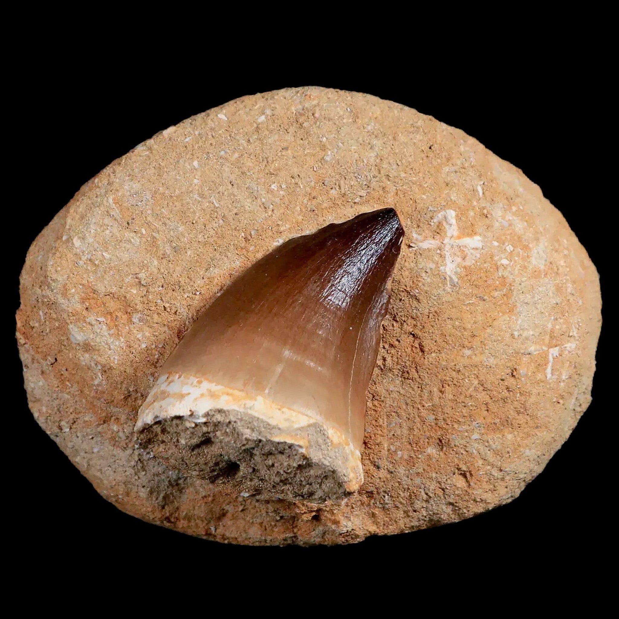 1.9