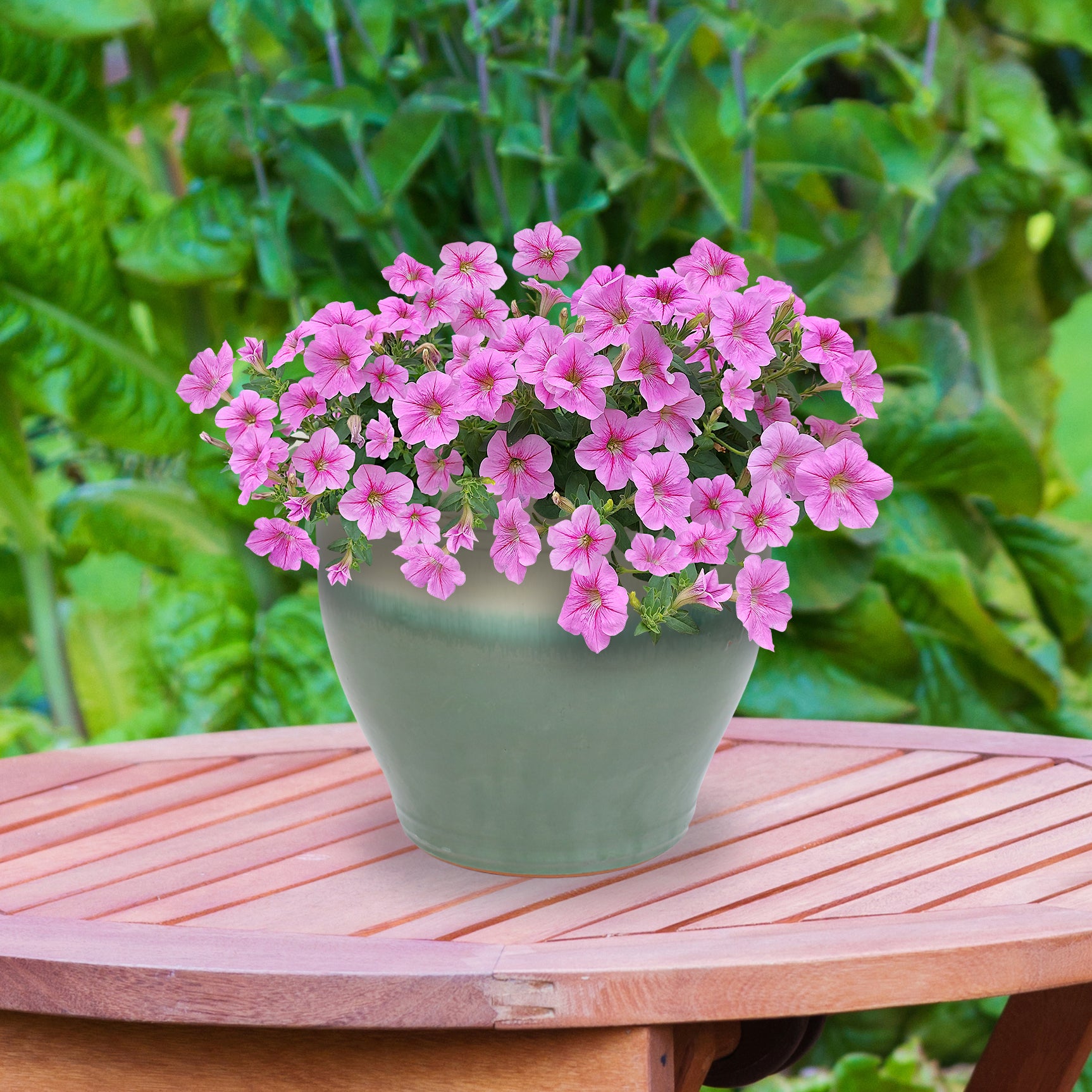 Sunnydaze Studio Round Glazed Ceramic Planter with Drainage Hole - Indoor Outdoor Flower Pot for Plants, Succulents, Herbs - Perfect for Patio, Garden, Balcony Decor
