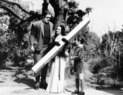 The Munsters: Complete Series DVD Box Set (14 Discs) – Classic TV Show Collection for Halloween & Family Movie Nights