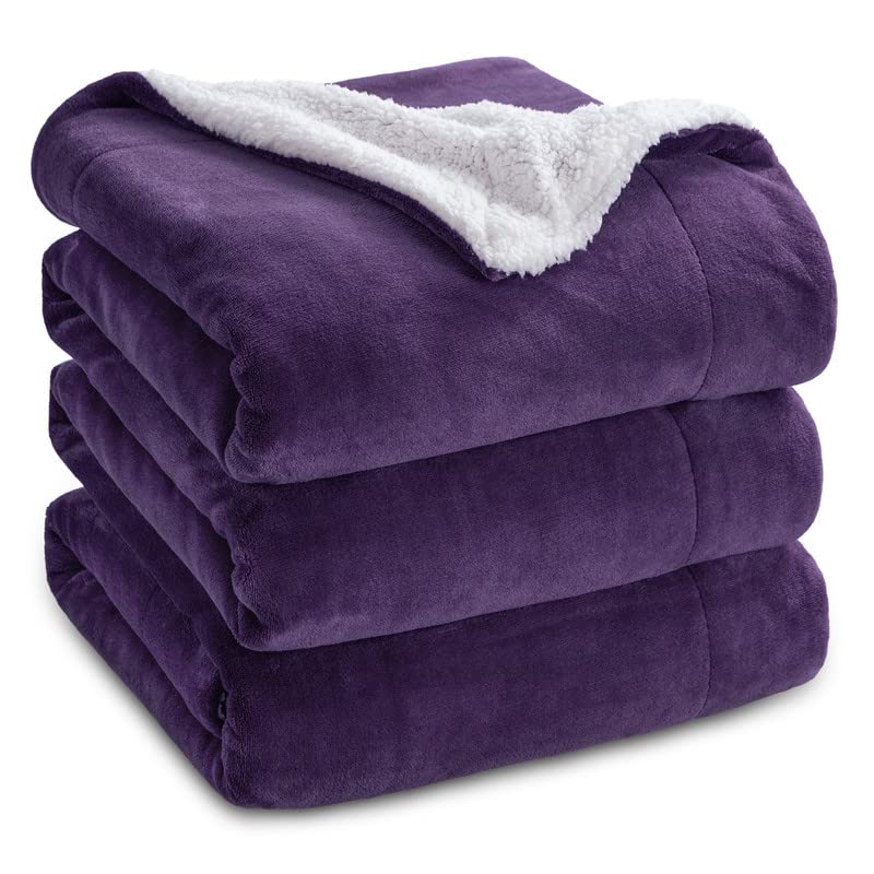 08 - Purple