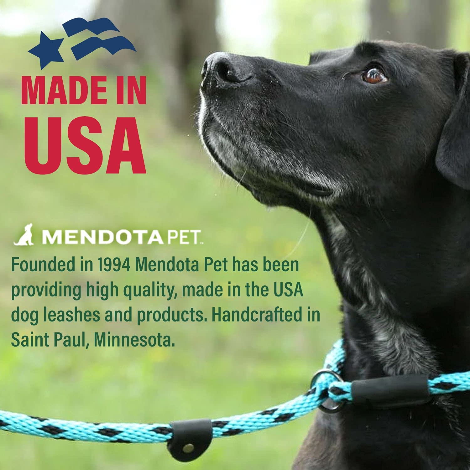 Premium Mendota Pet Snap Leash - 3/8
