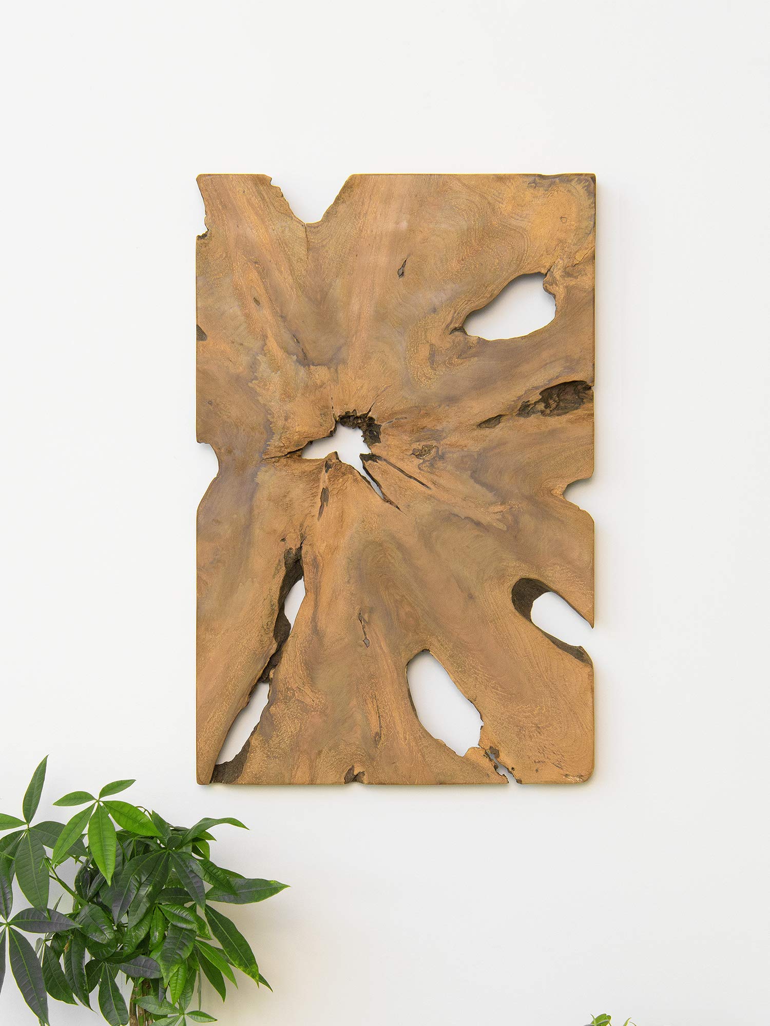 Natural Teak Root Wall Art - Handcrafted Home Decor for Living Room, Bedroom & Office - Unique Wood Slice Art for Rustic & Modern Interiors