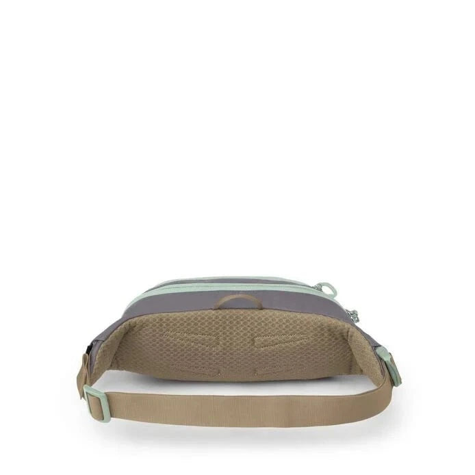 Osprey Daylite Waist Pack - Lightweight Hiking Fanny Pack for Men & Women - Perfect for Outdoor Adventures, Travel & Everyday Use