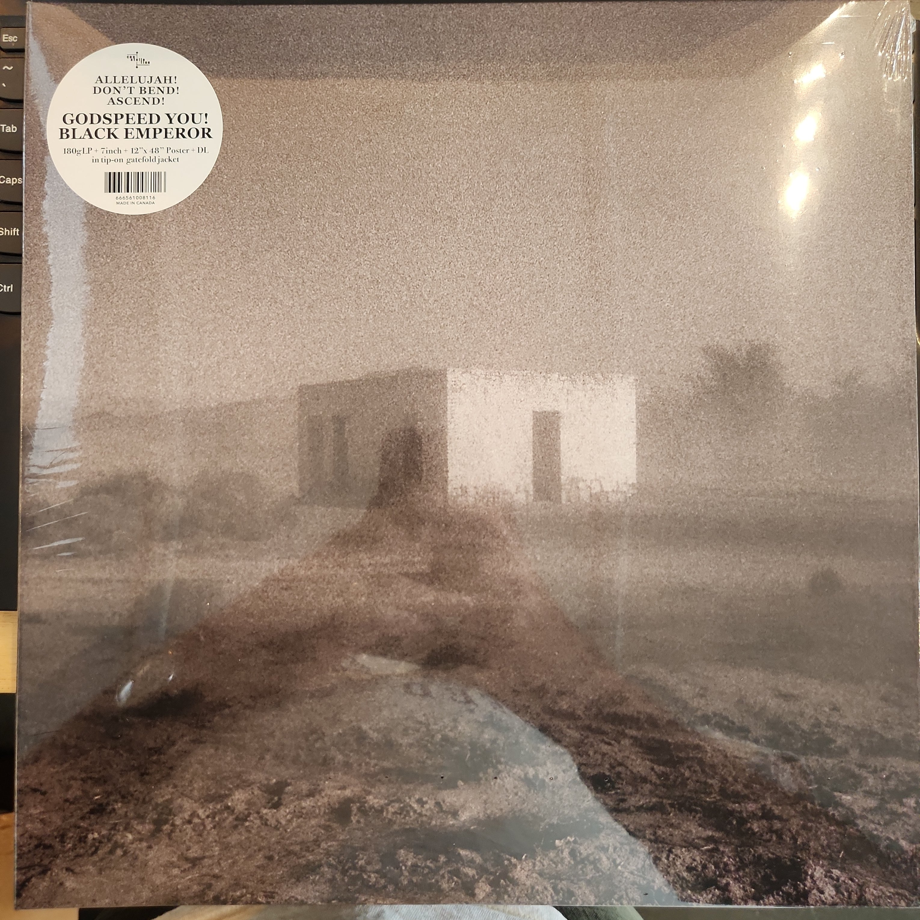 Godspeed You! Black Emperor - Allelujah! Don't Bend! Ascend! Vinyl LP Record | Limited Edition Post-Rock Album | Perfect for Music Collectors & Vinyl Enthusiasts | Great for Home Listening & Gifts
