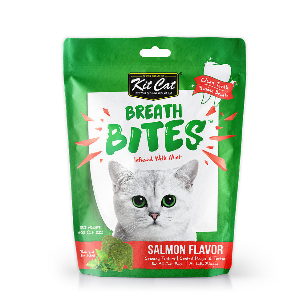 Kit Cat Kitty Crunch & Breath Bites Cat Treats - 60g (Beef, Tuna, Salmon, Chicken, Seafood, Lamb Flavors) - Dental Care Snacks for Fresh Breath - Perfect for Training Rewards & Bonding Time with Your Cat