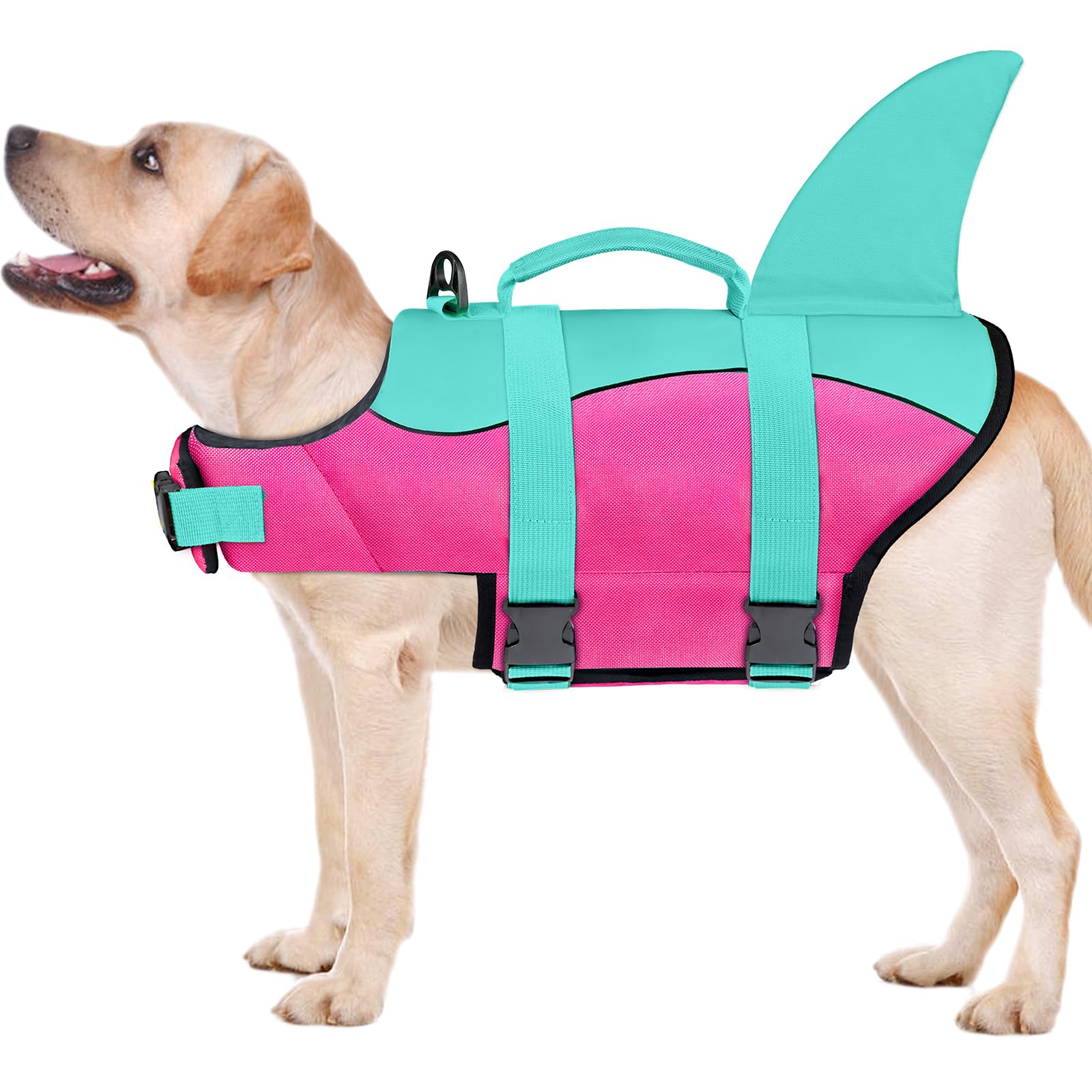 Malier Dog Life Jacket - High Buoyancy Ripstop Dog Life Vest for Swimming & Boating - Shark Puppy Lifesaver with High Visibility for Small, Medium & Large Dogs (Small) - Perfect for Pool, Beach & Water Sports Safety