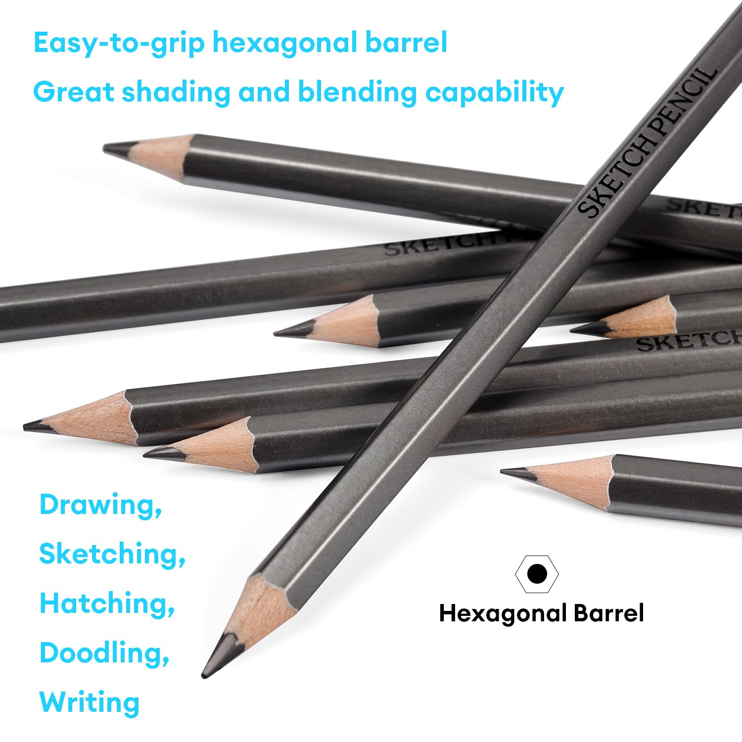 Dyvicl Professional 12-Piece Sketching Pencil Set (10B-6H) - Graphite Drawing Pencils for Artists, Beginners & Sketching - Ideal for Portraits, Shading, Sketching & Art Projects