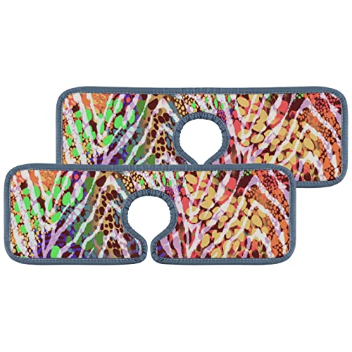 Colorful Zebra Skin