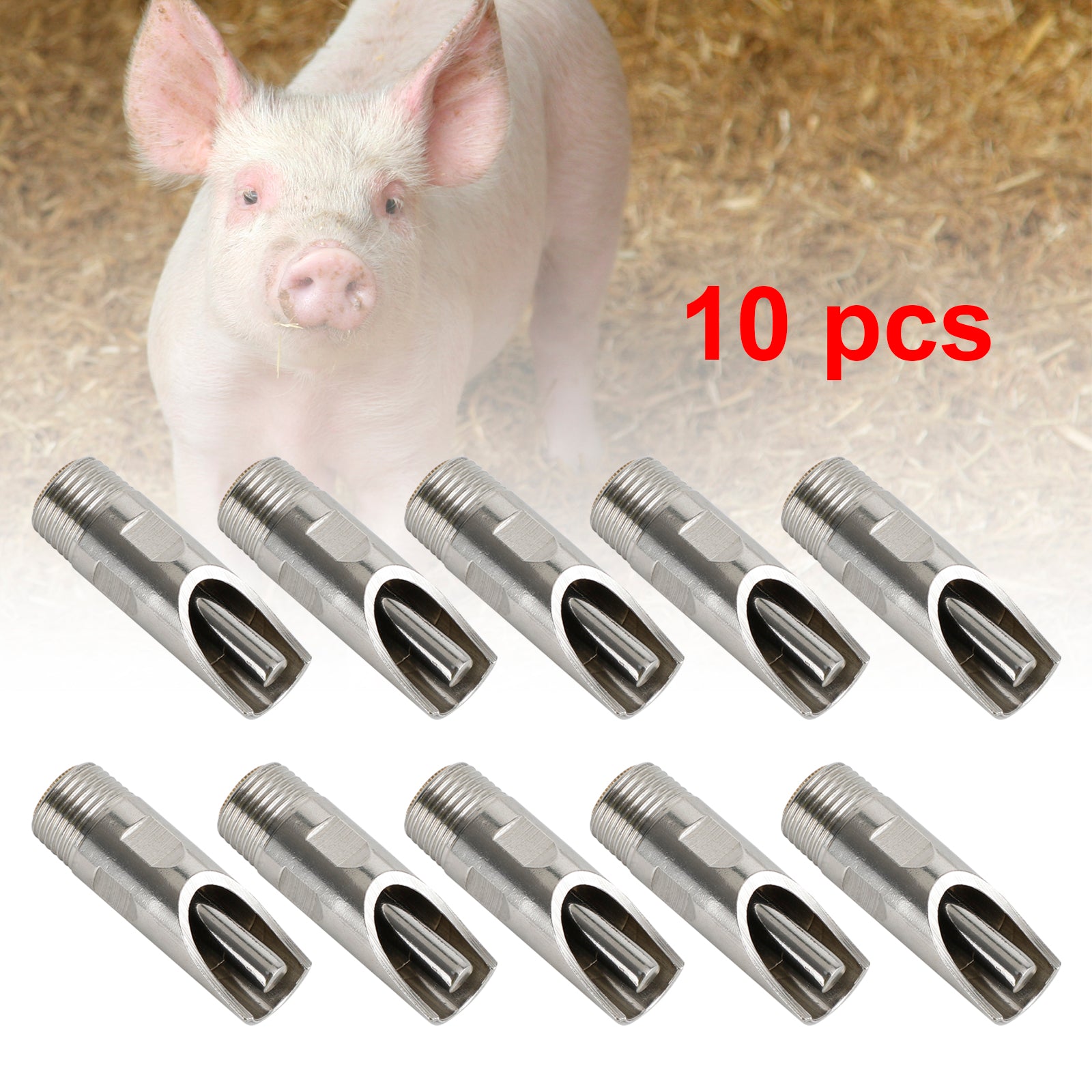 10Pc 1/2