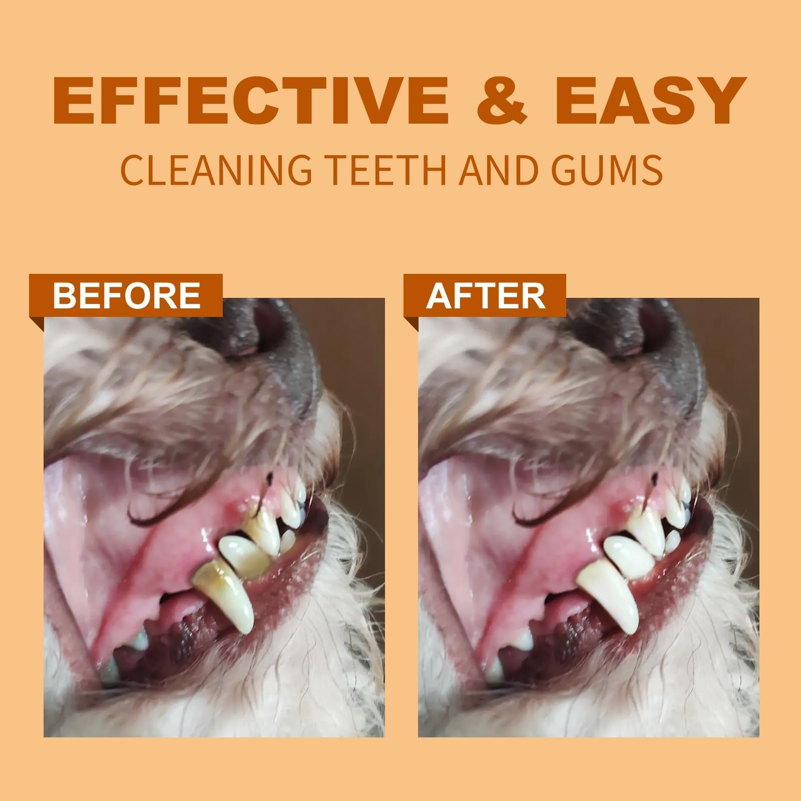 50Pcs Biodegradable Dog Teeth Cleaning Finger Wipes - Natural Dental Care for Cats & Dogs | Freshen Breath, Reduce Plaque & Prevent Tartar | Perfect for Daily Oral Hygiene & Travel Pet Care