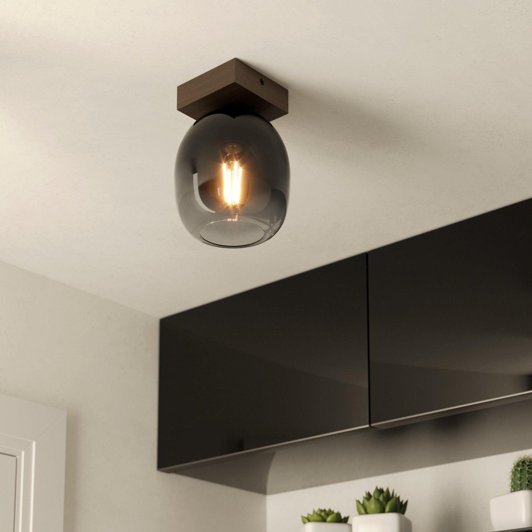 Eglo Filago Modern Ceiling Light with Wood & Smoke Glass Shade - Flush Mount Lighting Fixture for Bedroom, Living Room, Dining Room, and Hallway