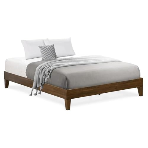 Nvp-22-q