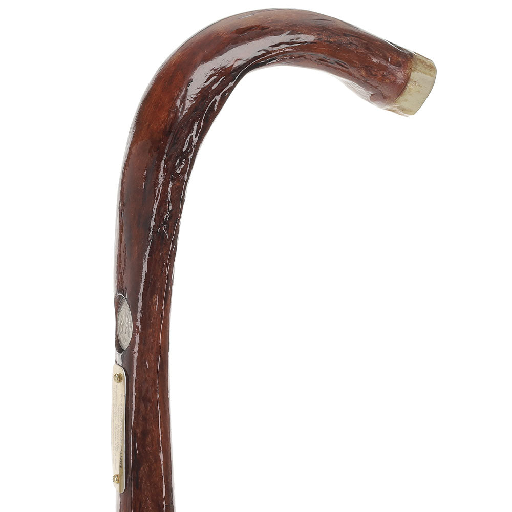 Premium Bull Organ Tourist Handle Walking Cane with Elk Horn End Cap - Comfortable & Stylish Mobility Aid for Hiking, Travel, and Outdoor Adventures